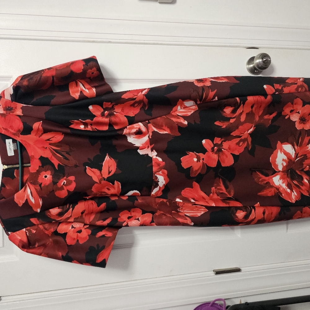 Floral Red and Black Dress